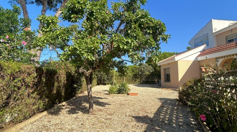 Huelva - Matalascañas - 598m2