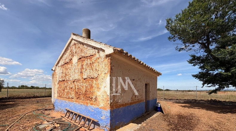 Ciudad Real - Manzanares - 17509m2