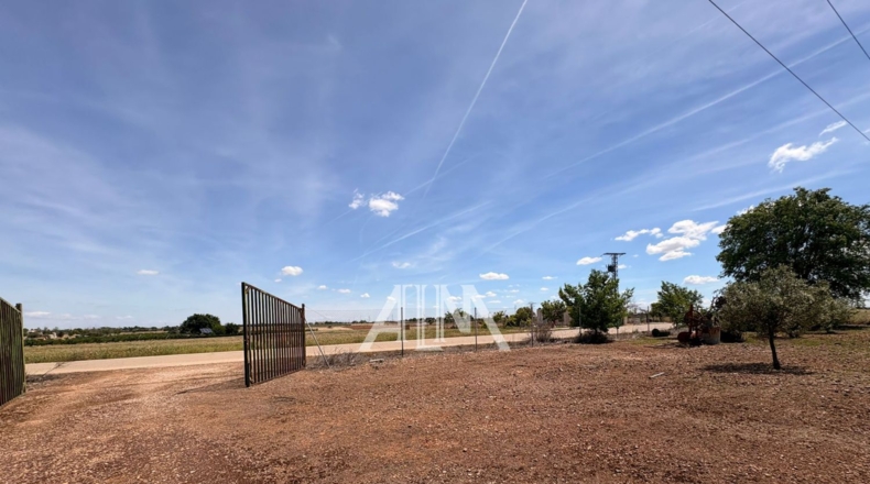 Ciudad Real - Manzanares - 17509m2