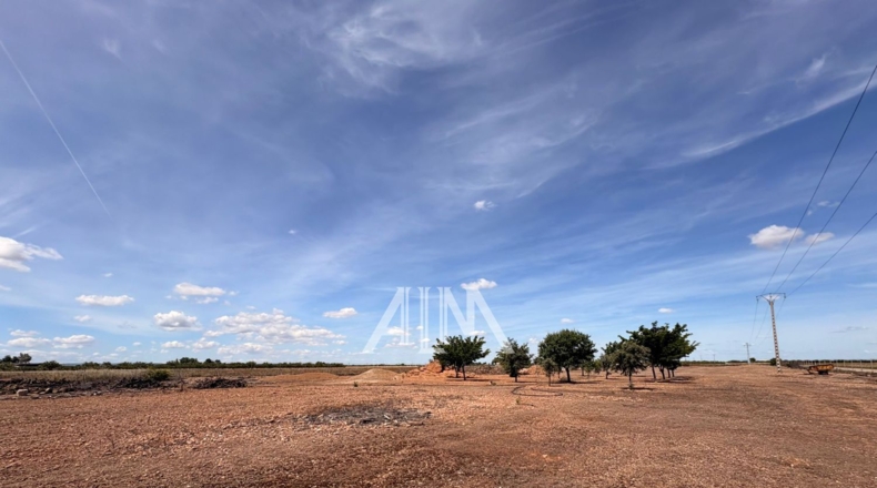 Ciudad Real - Manzanares - 17509m2