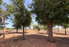 Manzanares 17509&nbsp;m²