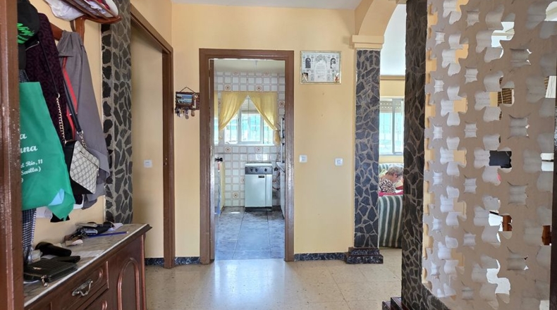Sevilla - Palomares del Río - 579m2