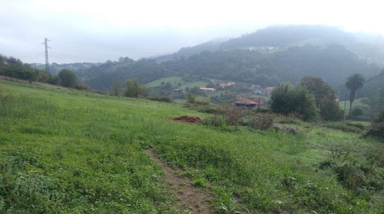 Asturias - La Cruz de Illas - 1200m2