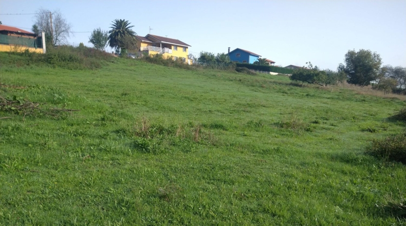 Asturias - La Cruz de Illas - 1200m2