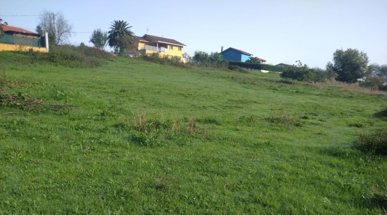 Asturias - La Cruz de Illas - 1200m2