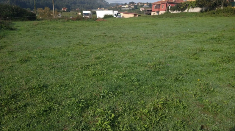 Asturias - La Cruz de Illas - 1200m2