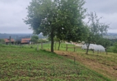 Land suitable for development for sale in La Cruz de Illas ref: TR415840 photo