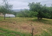 Land suitable for development for sale in La Cruz de Illas ref: TR415840 photo