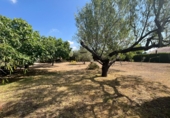 Chalet independiente con terreno en venta en Roquetes ref: TR415845 foto