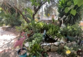 Chalet independiente con terreno en venta en Roquetes ref: TR415845 foto