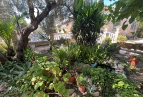 Foto 14