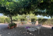 Chalet independiente con terreno en venta en Roquetes ref: TR415845 foto
