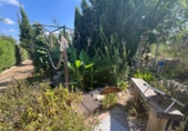 Chalet independiente con terreno en venta en Roquetes ref: TR415845 foto