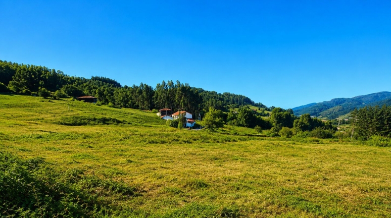 Asturias - Candamo - 1197m2