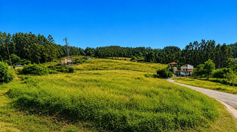 Asturias - Candamo - 1197m2