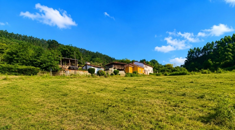 Asturias - Candamo - 1197m2