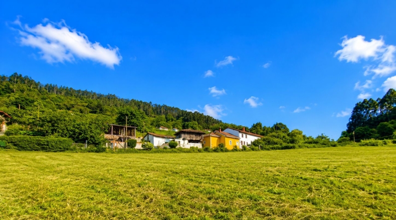 Asturias - Candamo - 1197m2