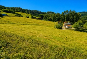 Candamo 1197&nbsp;m²