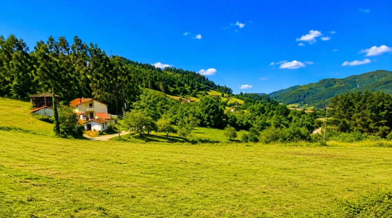 Asturias - Candamo - 1197m2
