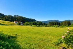 Candamo 1905&nbsp;m²