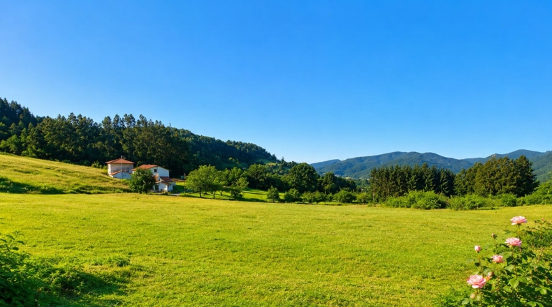 Asturias - Candamo - 1905m2