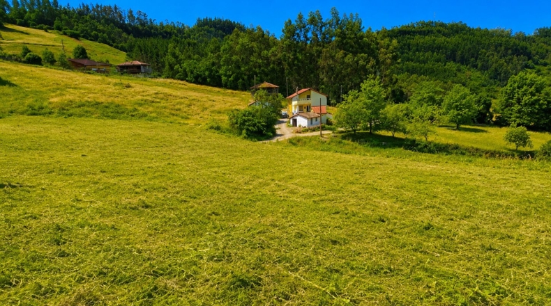 Asturias - Candamo - 1905m2