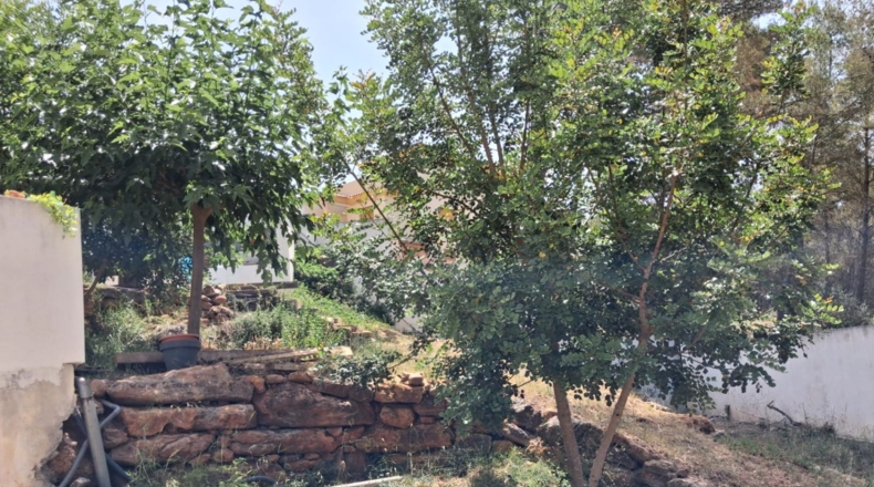 Castellón - Zorita del Maestrazgo - 500m2