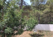 Suelo urbano en venta en Zorita del Maestrazgo ref: TR415842 foto