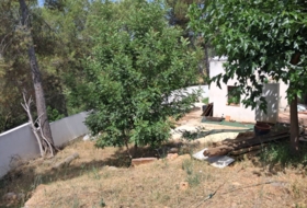 Foto 15