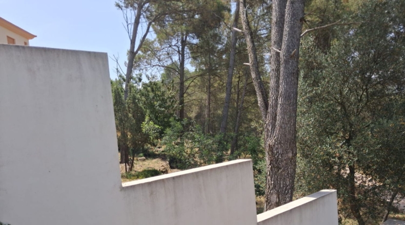 Castellón - Zorita del Maestrazgo - 500m2