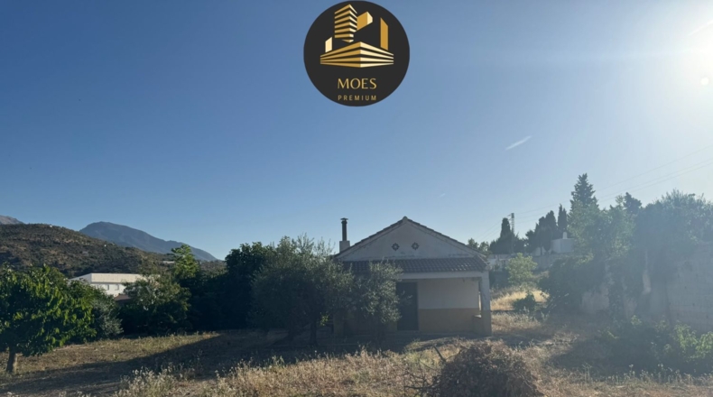 Málaga - Tolox - 960m2