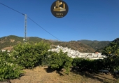 Non-developable land for sale in Tolox ref: TR415853 photo