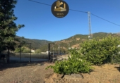 Non-developable land for sale in Tolox ref: TR415853 photo