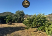 Non-developable land for sale in Tolox ref: TR415853 photo