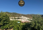 Non-developable land for sale in Tolox ref: TR415853 photo