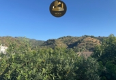 Non-developable land for sale in Tolox ref: TR415853 photo