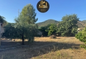 Non-developable land for sale in Tolox ref: TR415853 photo