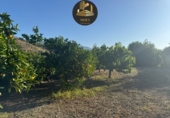 Non-developable land for sale in Tolox ref: TR415853 photo