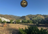 Non-developable land for sale in Tolox ref: TR415853 photo