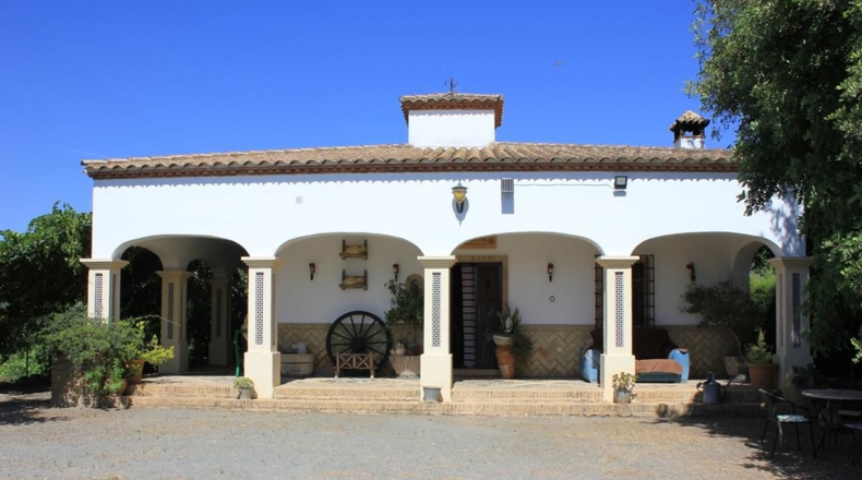 Sevilla - El Coronil - 2491m2