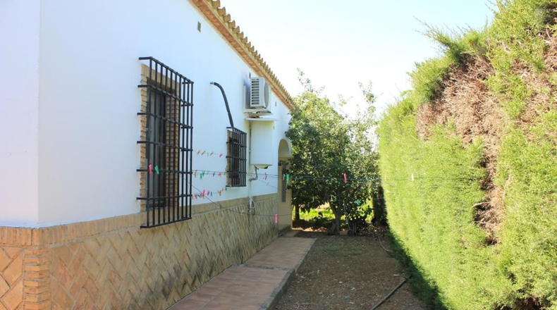 Sevilla - El Coronil - 2491m2