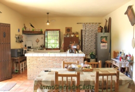 El Coronil 2491&nbsp;m²