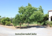 Country house with land for sale in El Coronil ref: TR415861 photo