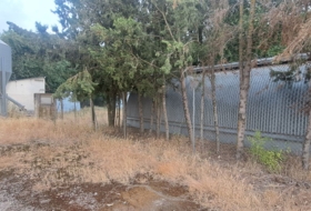 Lupiñén 5895&nbsp;m²