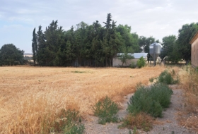 Lupiñén 5895&nbsp;m²