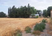 Terreno no urbanizable en venta en Lupiñén ref: TR414011 foto