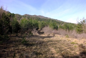 Caldearenas 2186053&nbsp;m²