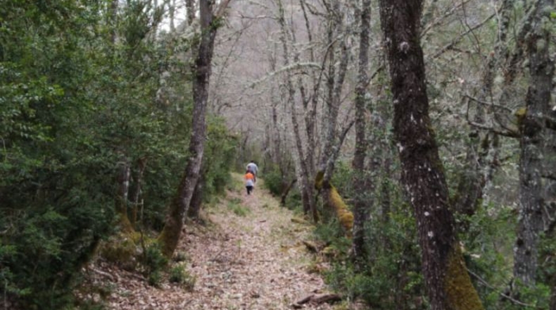 Huesca - Caldearenas - 2186053m2