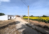 Rural estate for sale in Jerez ref: TR415870 photo