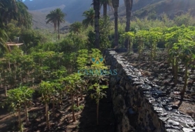 San Bartolomé de Tirajana 10000&nbsp;m²